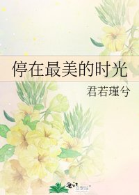 《停在最美的时光》