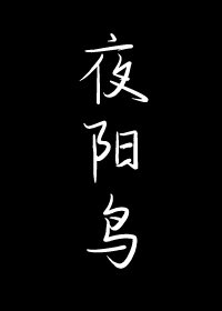 《夜陽鳥》